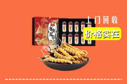 天津市东丽回收冬虫夏草